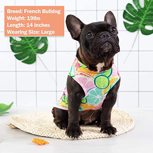 KYEESE Paquete de 2 camisas para perros