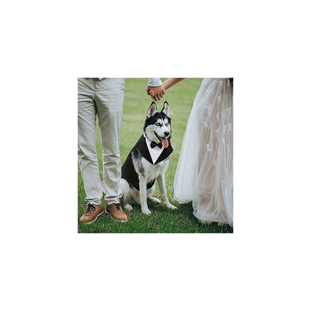 Disfraces de esmoquin para perros talla S