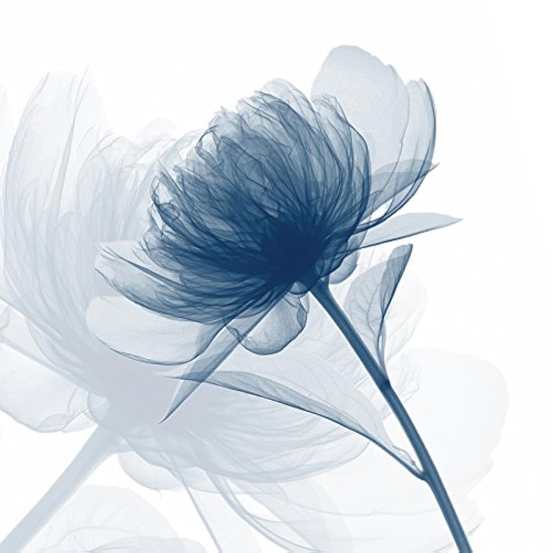 Wieco Art - Obra de arte Lista para colgar para la sala