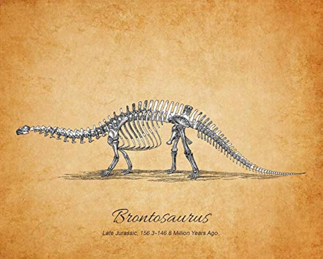 Impresiones de arte de pared de fósiles de dinosaurios