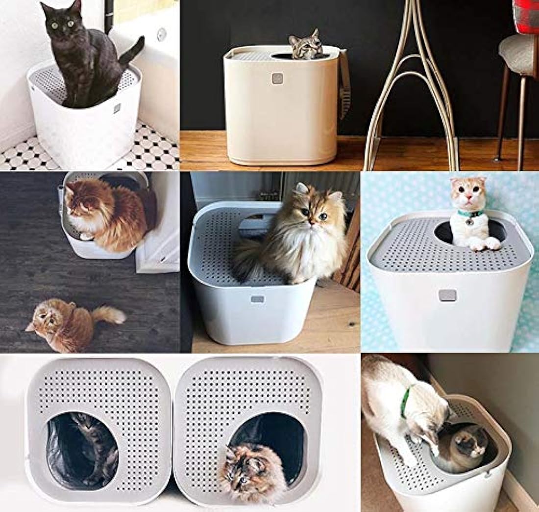 Modkat - Caja de arena con aspecto genial, reduce el seguimiento de la arena, incluye cuchara y forro reutilizable