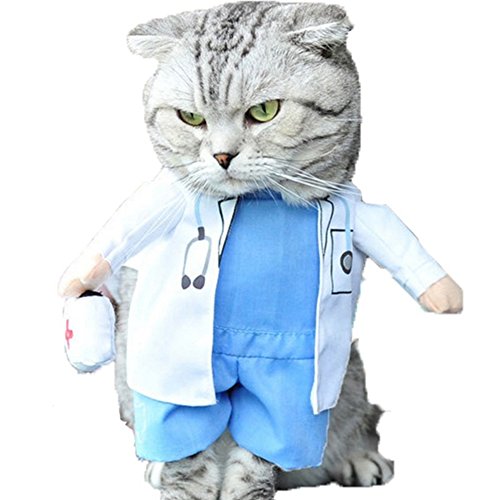 Perro Gato Doctor Traje Mascota Doctor Ropa Halloween Jeans