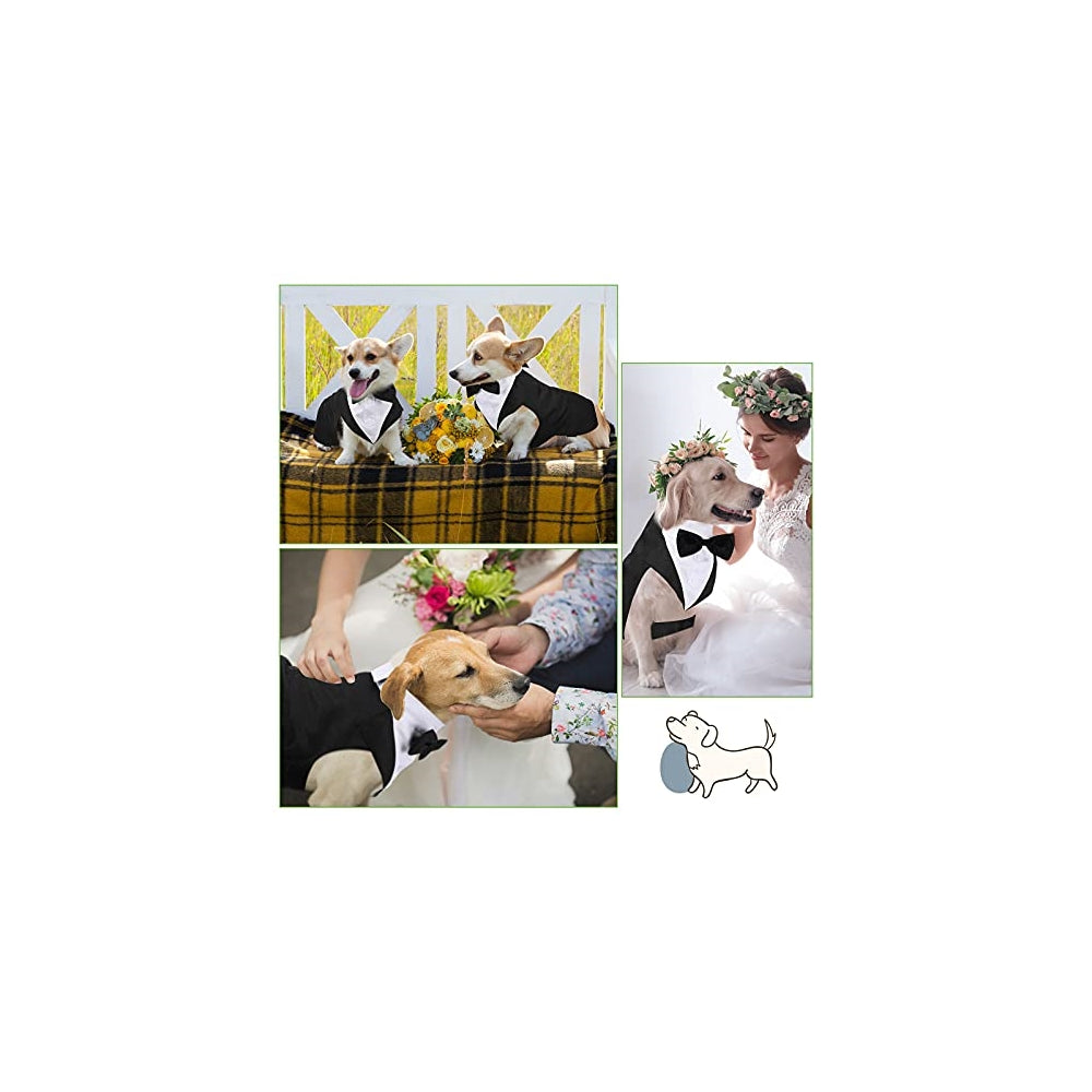 Disfraces de esmoquin y bandana para perros talla S