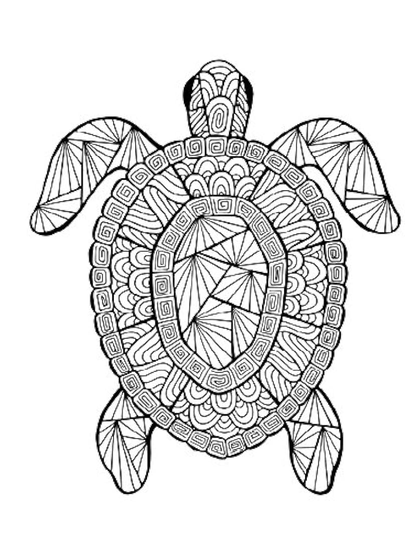 ZOCO paquete de regalo: 3 libros para colorear para adultos