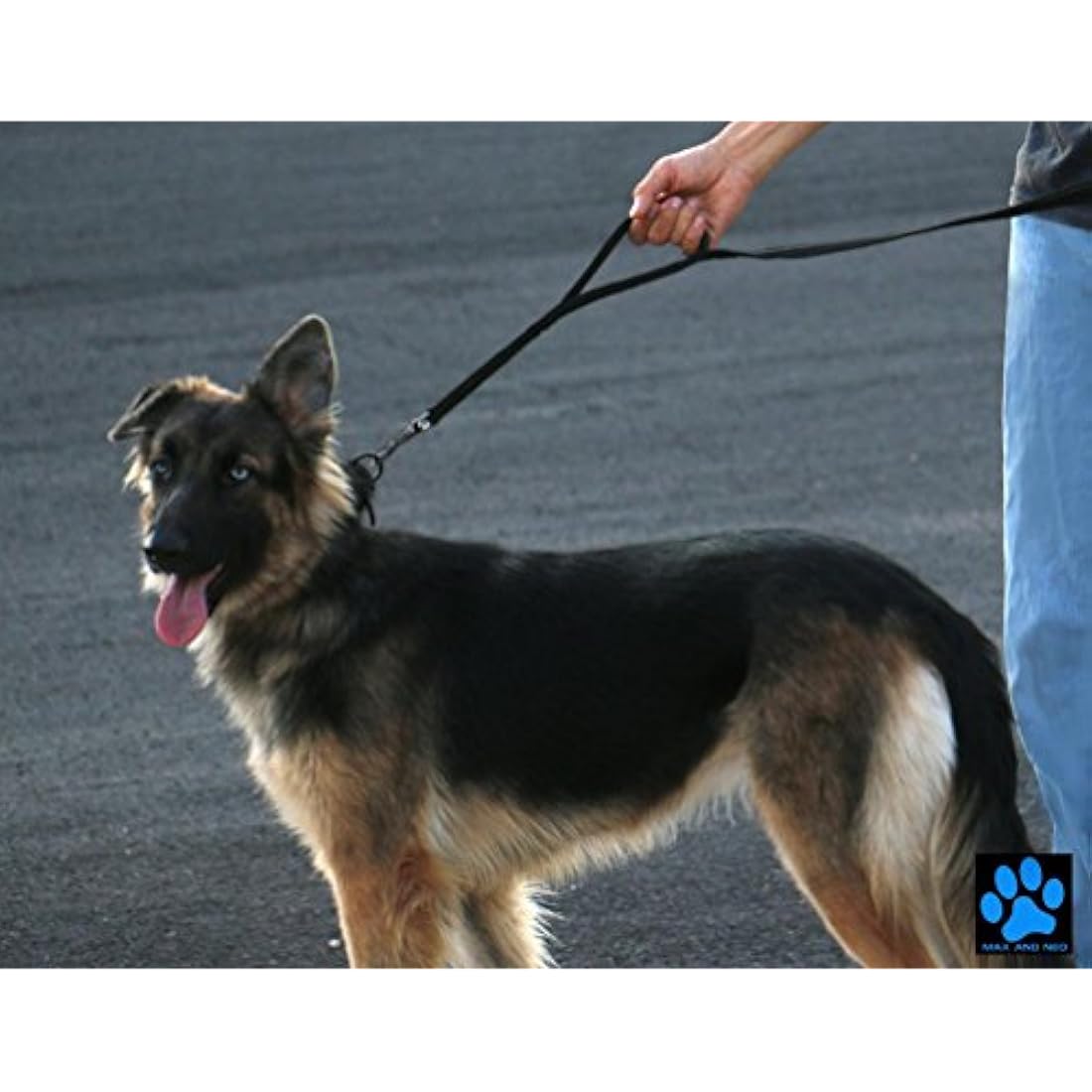 Correa para perros Reflexivo (negro, 6 pies)