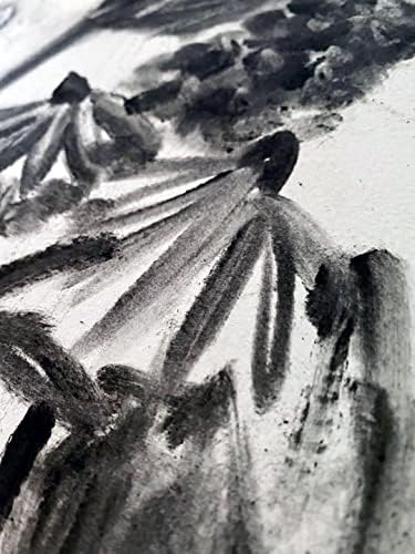 Polvo de Carbón Prémium para Dibujo y Arte