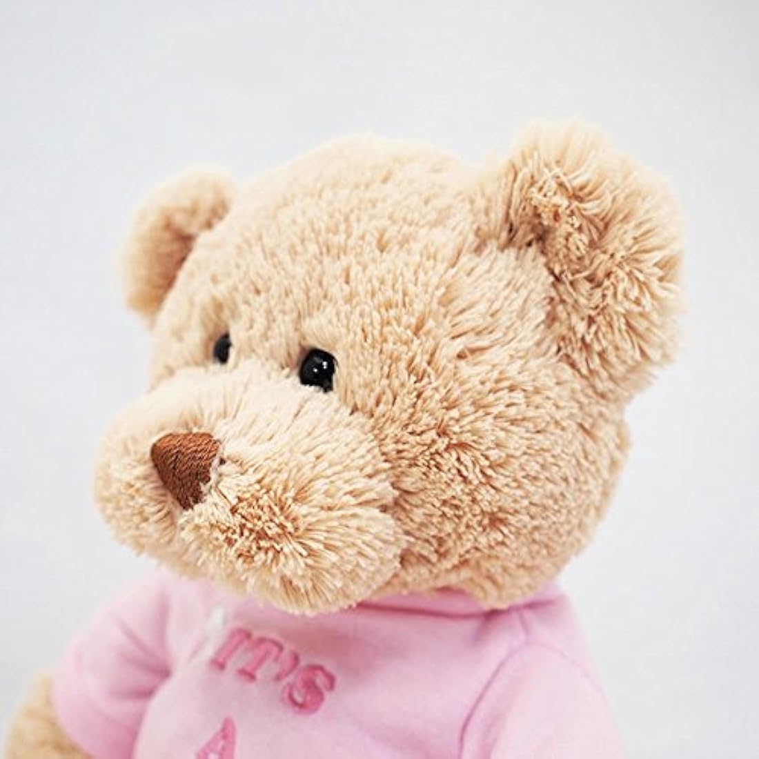 Oso de peluche con playera de Es una niña (It's a Girl)