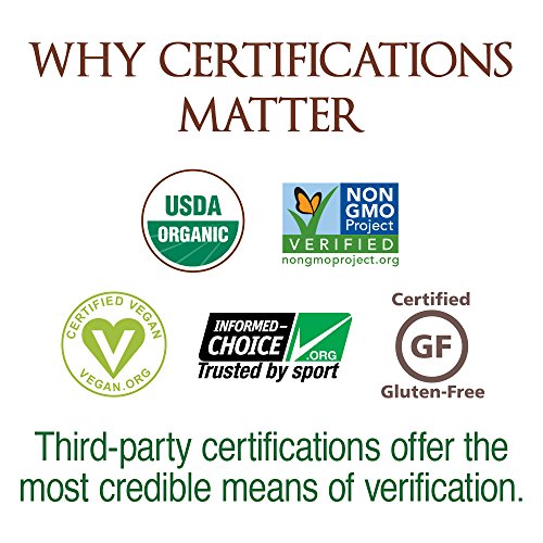 Polvo de proteína vegana orgánica con vitaminas y probiótico