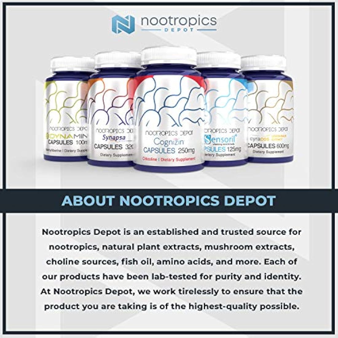 Tabletas de Sarcosina 1000mg 1