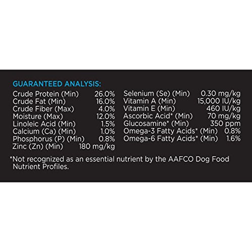 Alimento para perros adultos