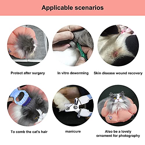 HiDREAM - Collar de cono de gato, bonito collar isabelino impermeable para gatos, antimordeduras, curación de heridas, seguridad para recuperación, estilo para todas las estaciones