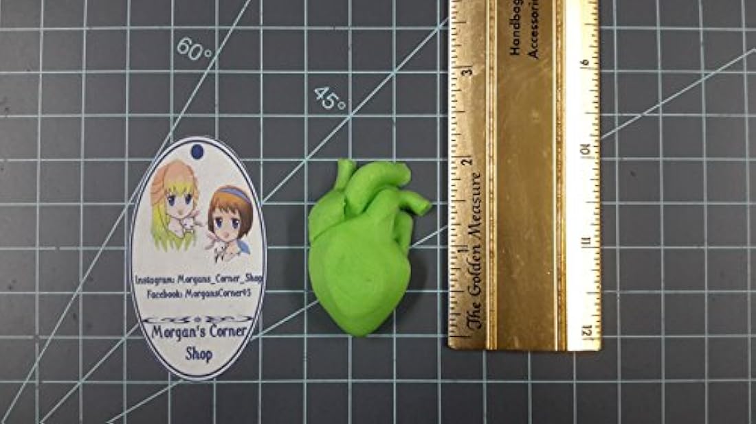 Corazón humano (Tamaño Mediano) Resina Molde de plástico, moho, moho de corazón, la arcilla del moho, jabón moho, de cera, anatomía del moho, moho humanos, Bomba de Baño