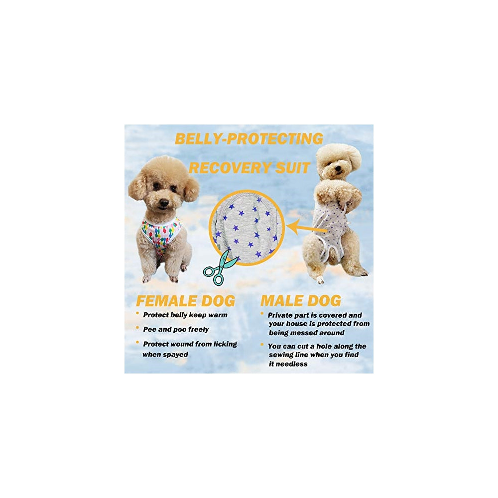 Camisetas Traje de recuperación de perro Tamaño: XXS