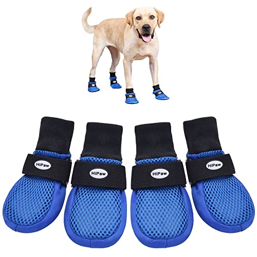 Botas transpirables, doble malla, suave suela, protección para el verano, para perro, de HiPaw, Azul