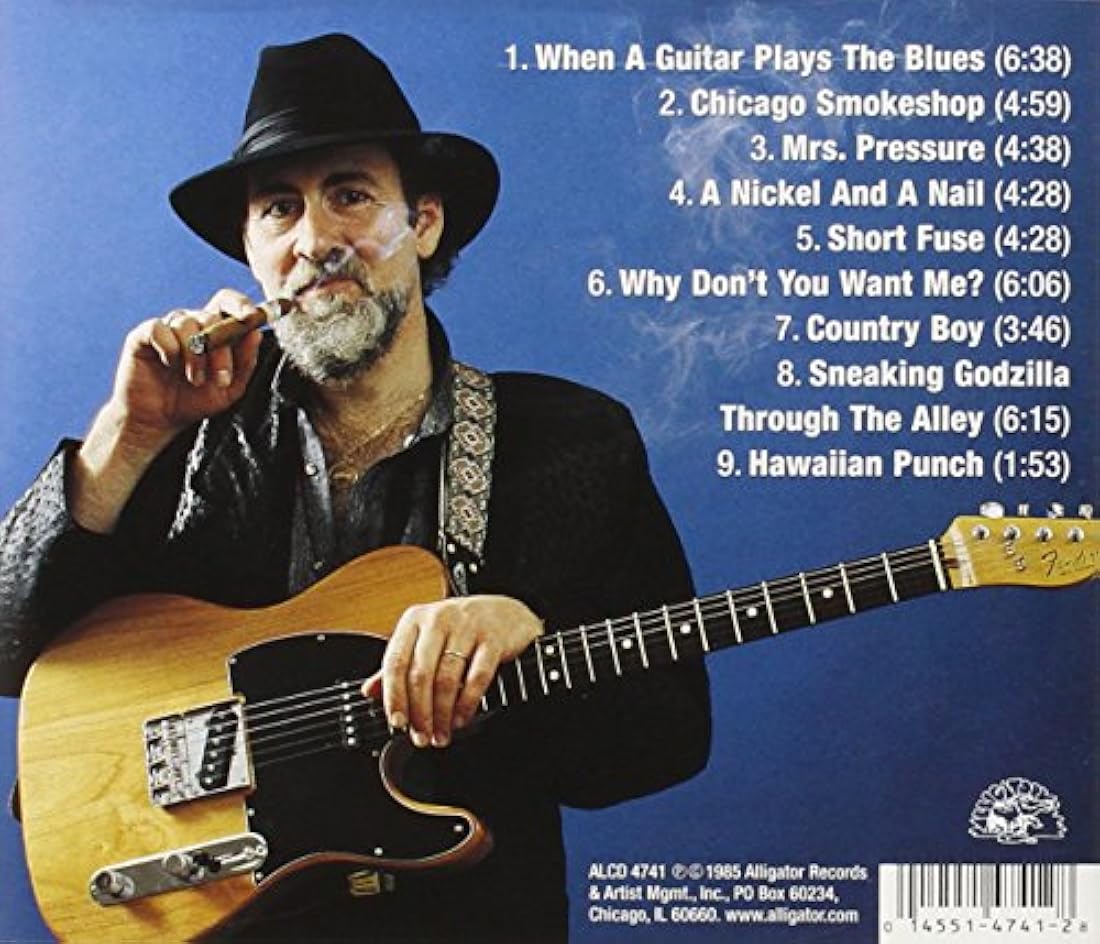 Cuando una guitarra toca el blues