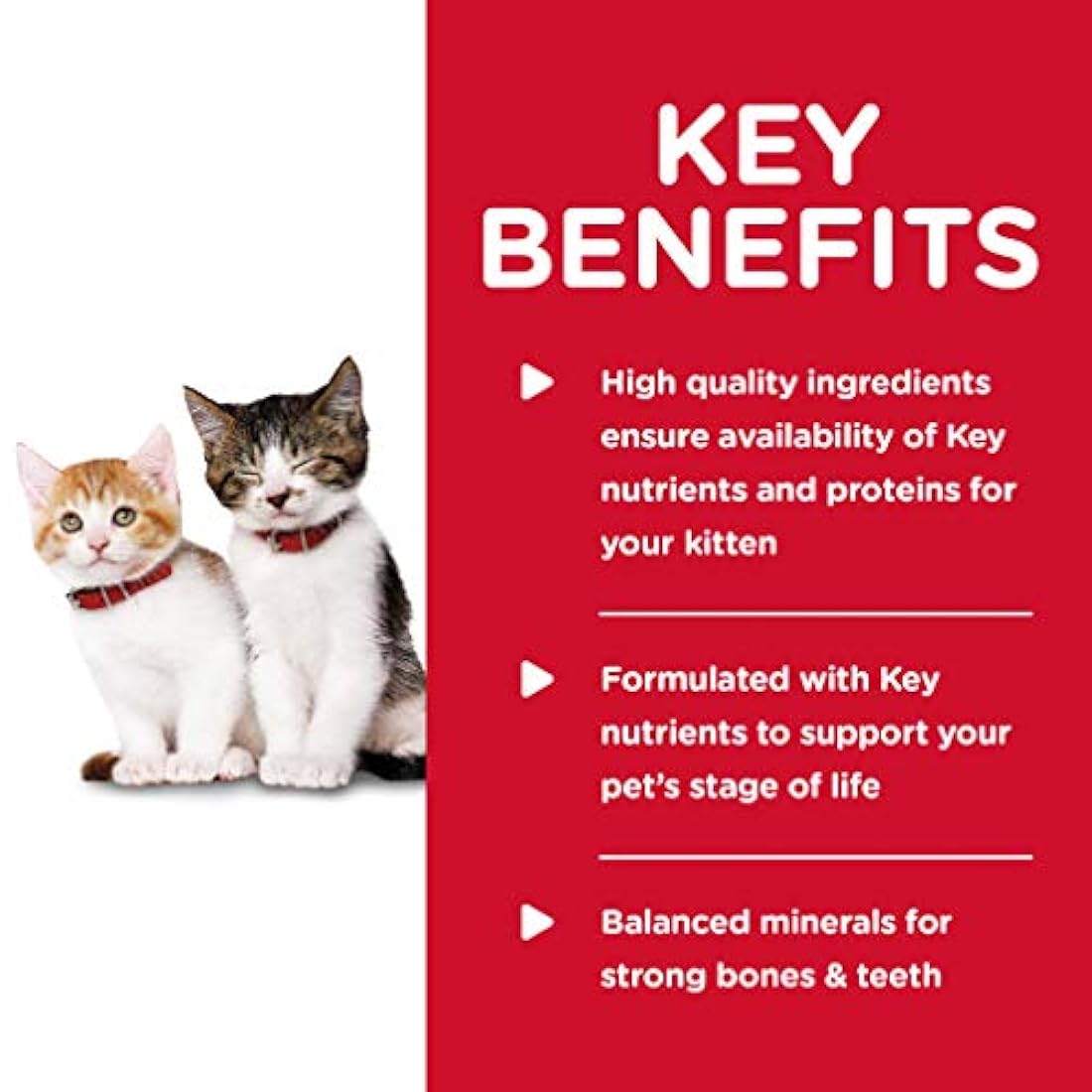 Hill's Science Diet Kitten Comida húmeda para gatos