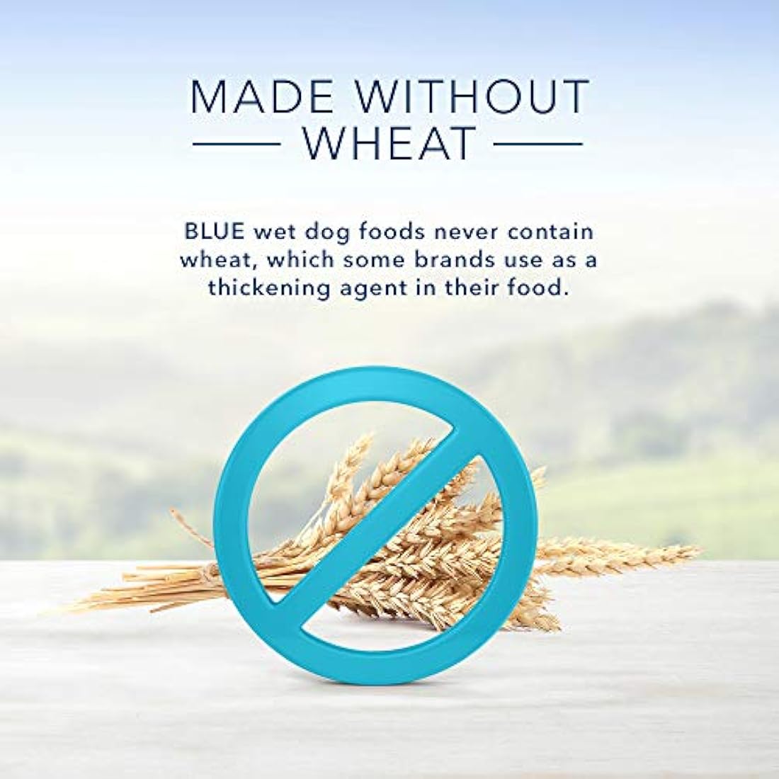 Blue Buffalo Homestyle adultos mojado comida para perro