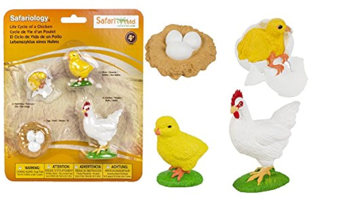 Safari Ltd - el ciclo de vida de un pollo