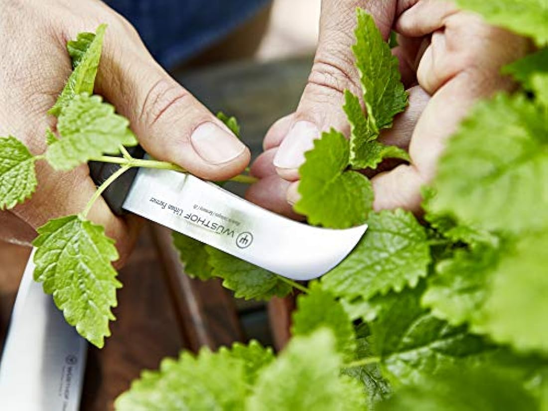 Wüsthof Classic 2.75 inch Trimming cuchillo, Negro