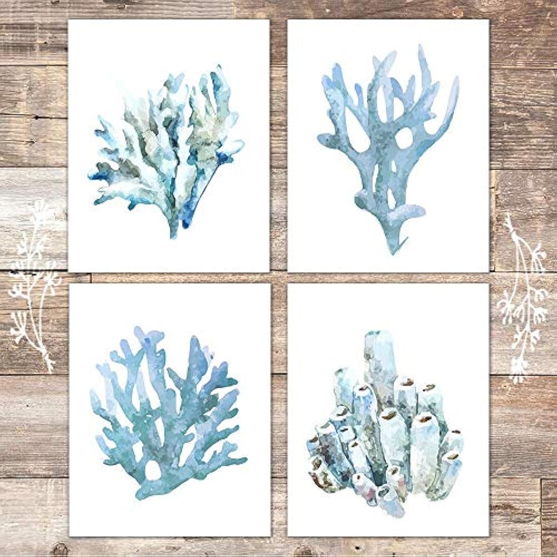 Sin marco - 8x10s pinturas de Coral