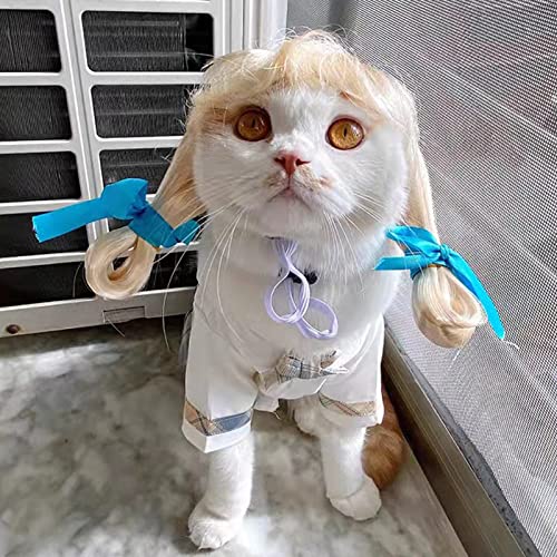 Divertido disfraz de perro, disfraz de mascota