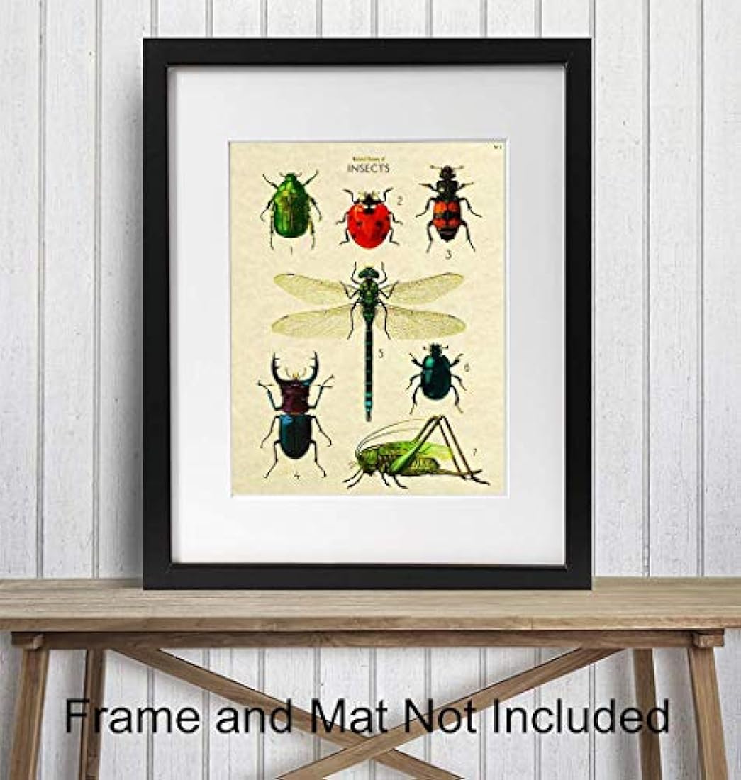 póster de arte de pared 8x10 póster de error científico