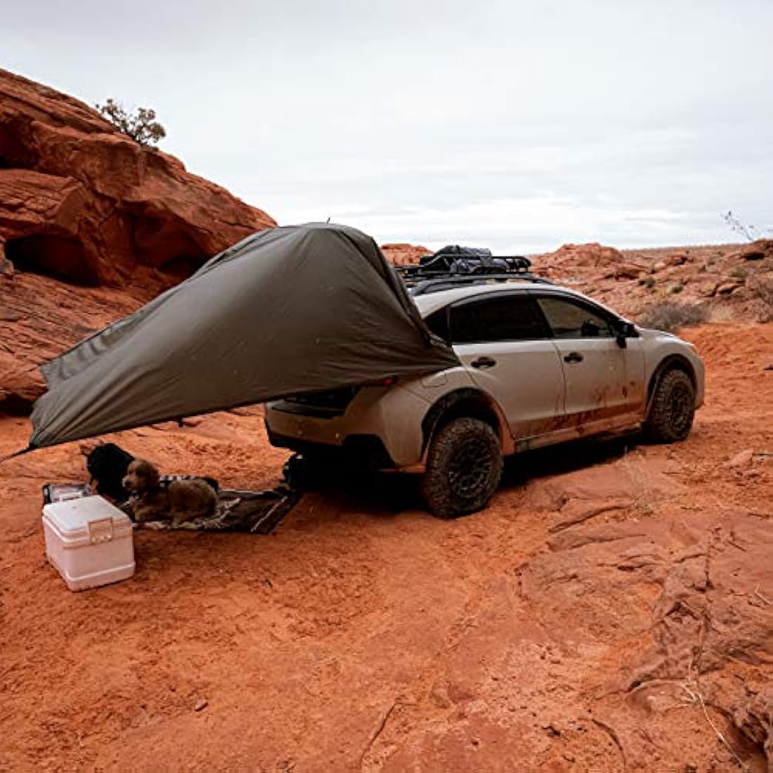 Aqua Quest Safari - Lona para camping (100% impermeable)