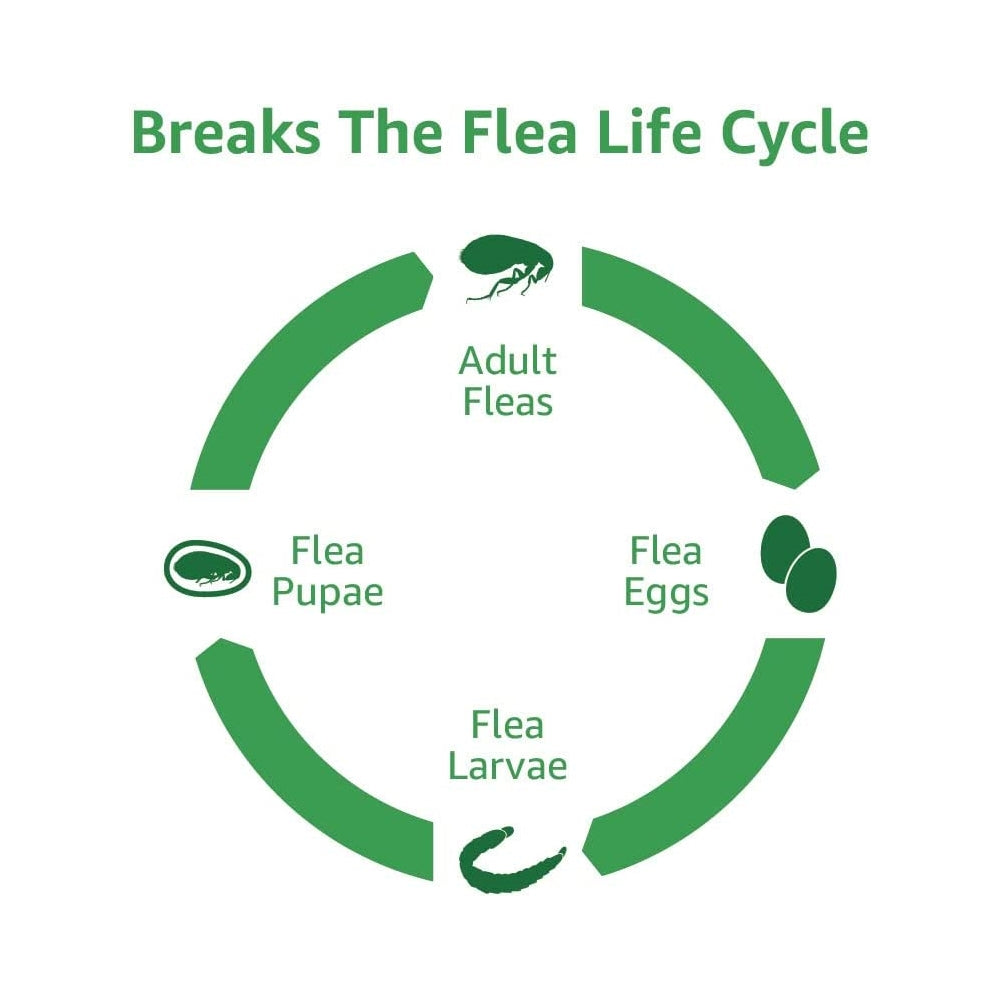 Tratamiento de pulgas y garrapatas para gatos 6 unidades