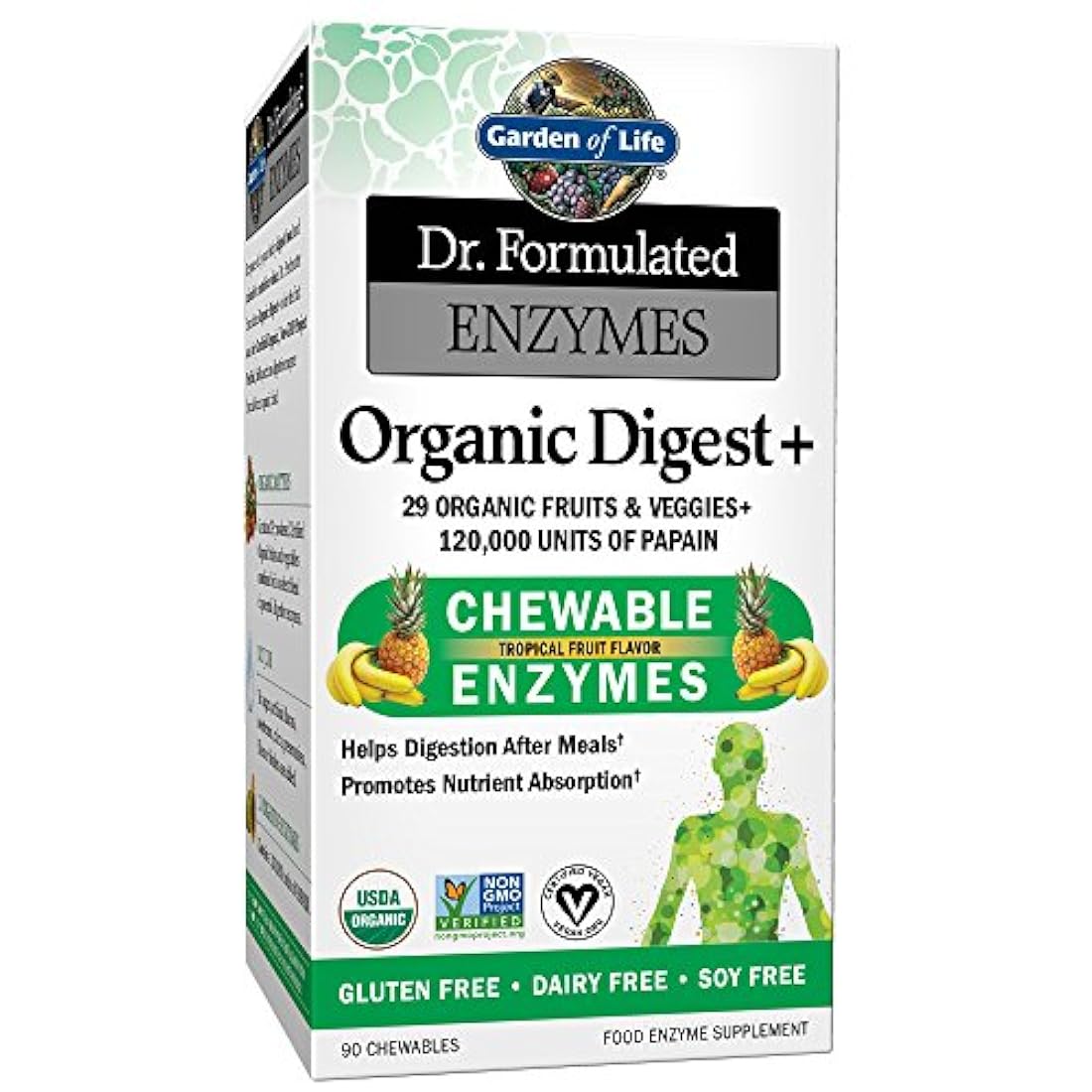Garden of Life suplemento de enzimas masticables orgánicas - Dr. Enzymes Organic Digest+, 90 comprimidos masticables