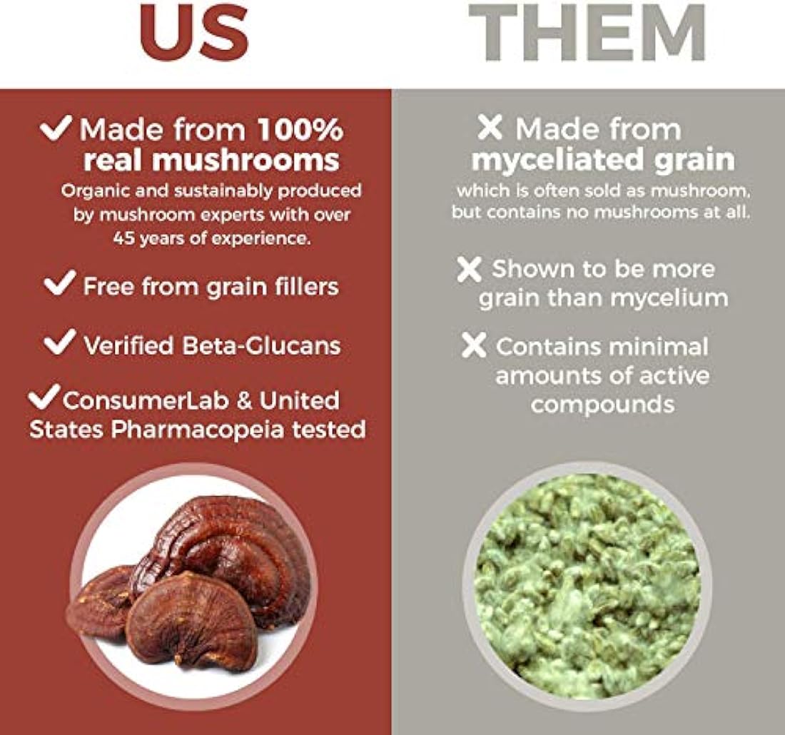 Suplemento para mayor longevidad Reishi