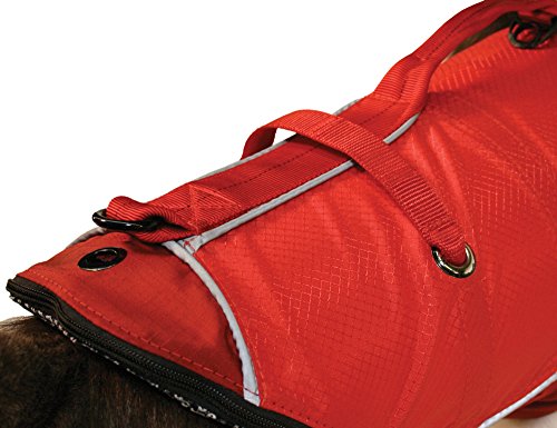 Chaleco salvavidas para perros