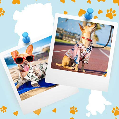 4 camisetas de verano para mascotas, estilo hawaiano, camisa floral para perro, camisetas con estampado hawaiano, camisetas transpirables para mascotas, ropa fresca para playa, playa, cachorros, sudadera para cachorros pequeños