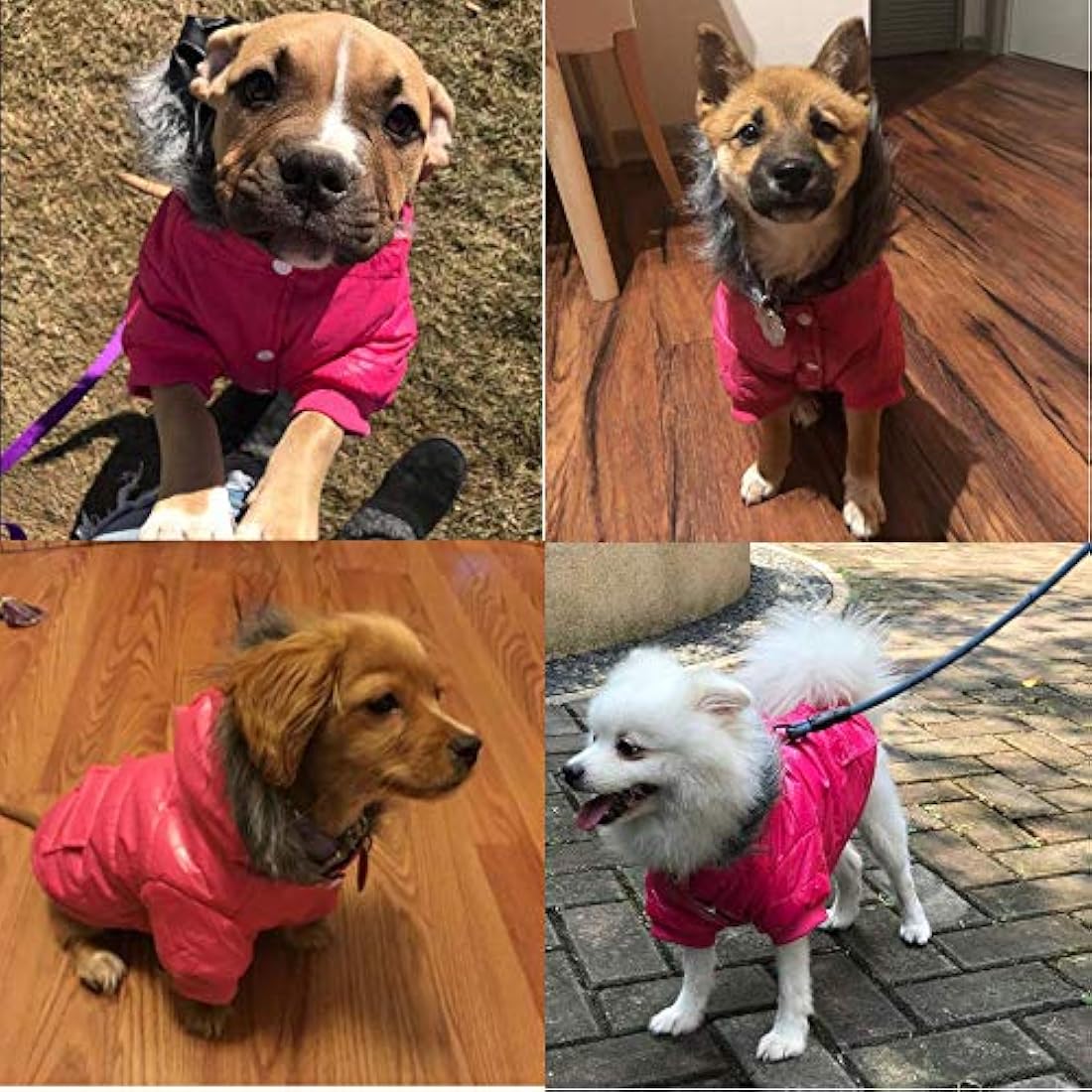 Abrigo de invierno cálido para perro