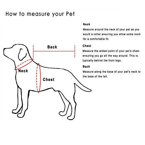 Disfraz para perros y gatos