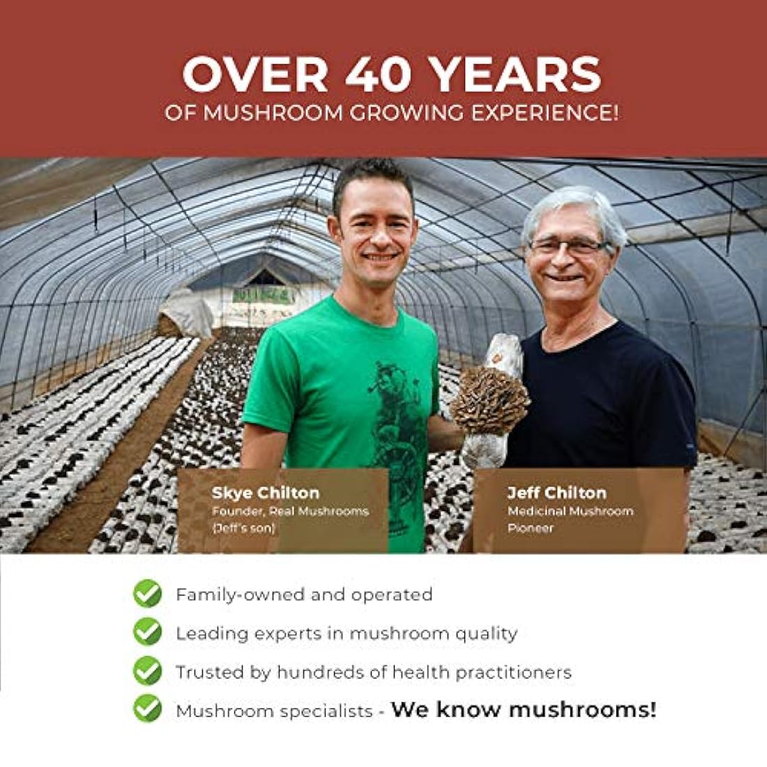 Suplemento para mayor longevidad Reishi