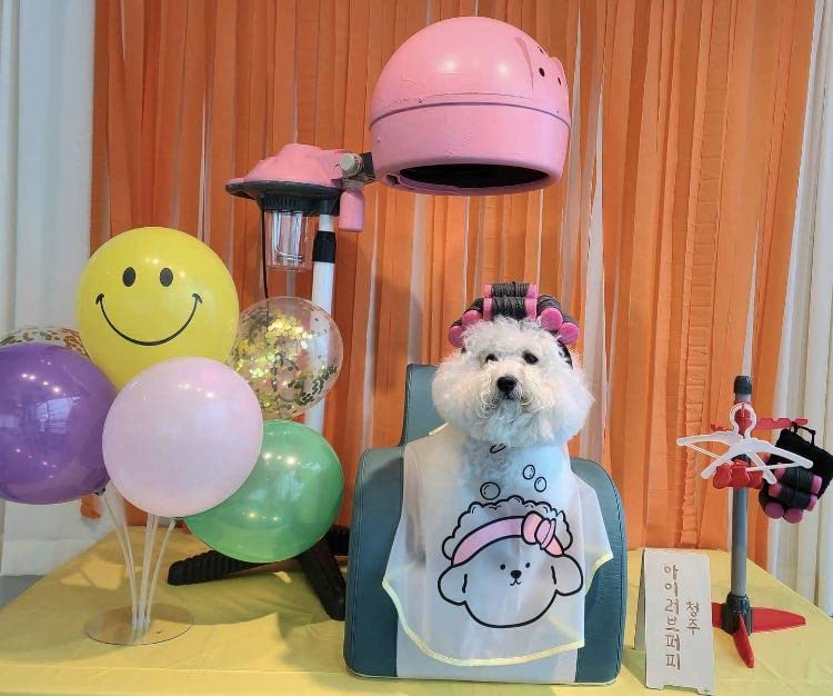 Dog Wig Curly Hair Dog Hat Pet Dog Costume Adjustable Dog Wigs for Small Dogs Cat Wig Funny Pet Hat Dog Head Wear Apparel Toy for Halloween, Parties and Photo Shoots