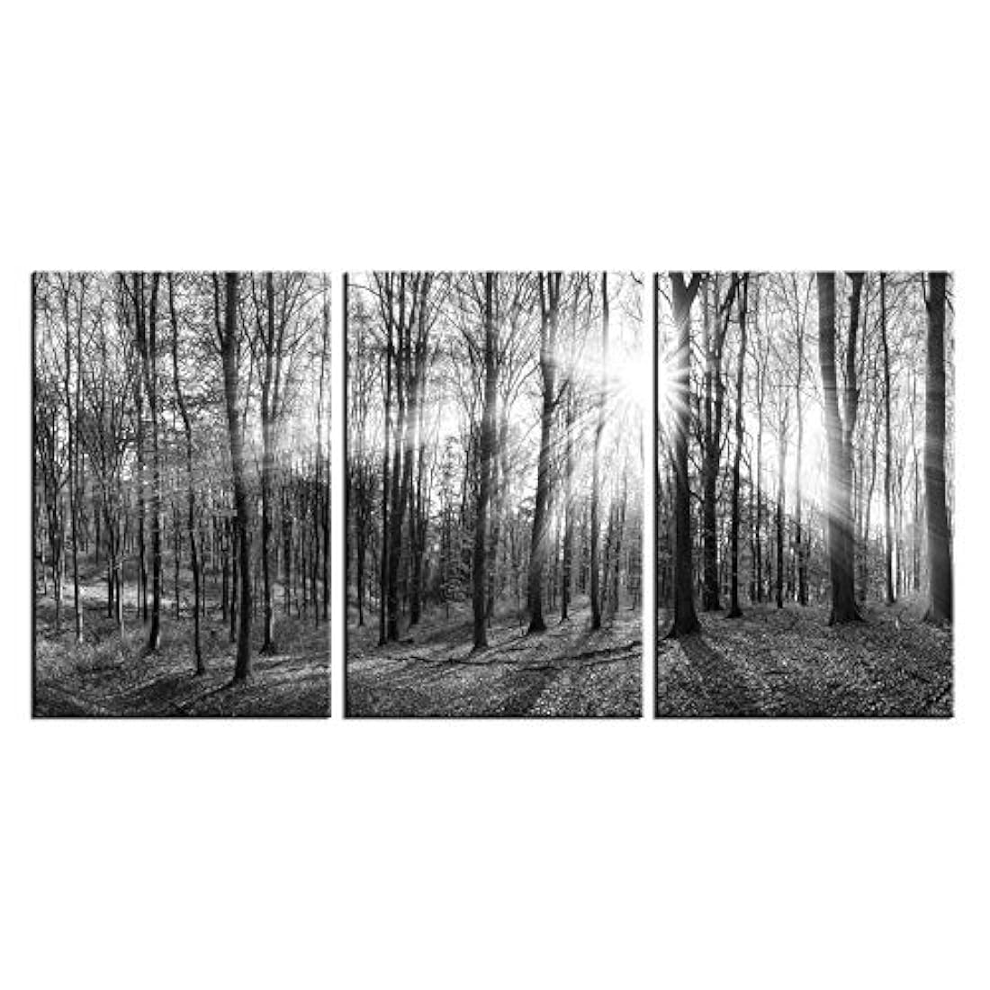 Lienzo decorativo de pared con 3 paneles