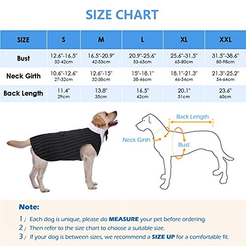 Conjunto de disfraz de esmoquin para perro pequeño