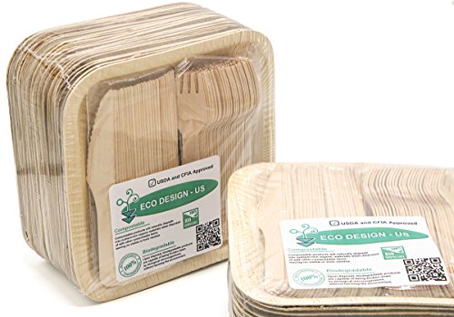 JUEGO DE PLATO DE PAPEL