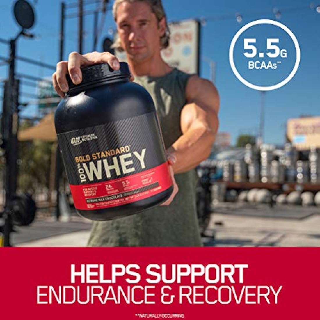 Proteína de Suero de Leche en Polvo