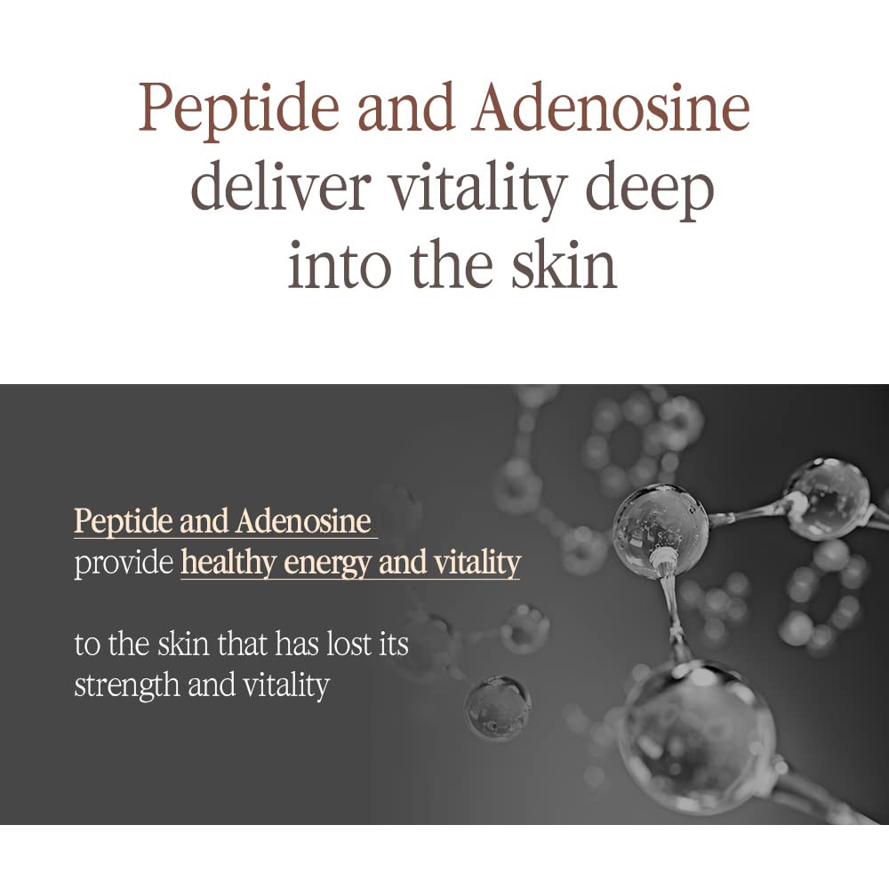 Crema Antienvejecimiento con Té Negro y Kombucha