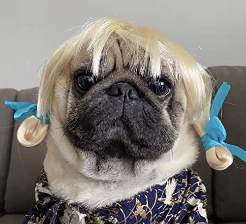 Divertido disfraz de perro, disfraz de mascota