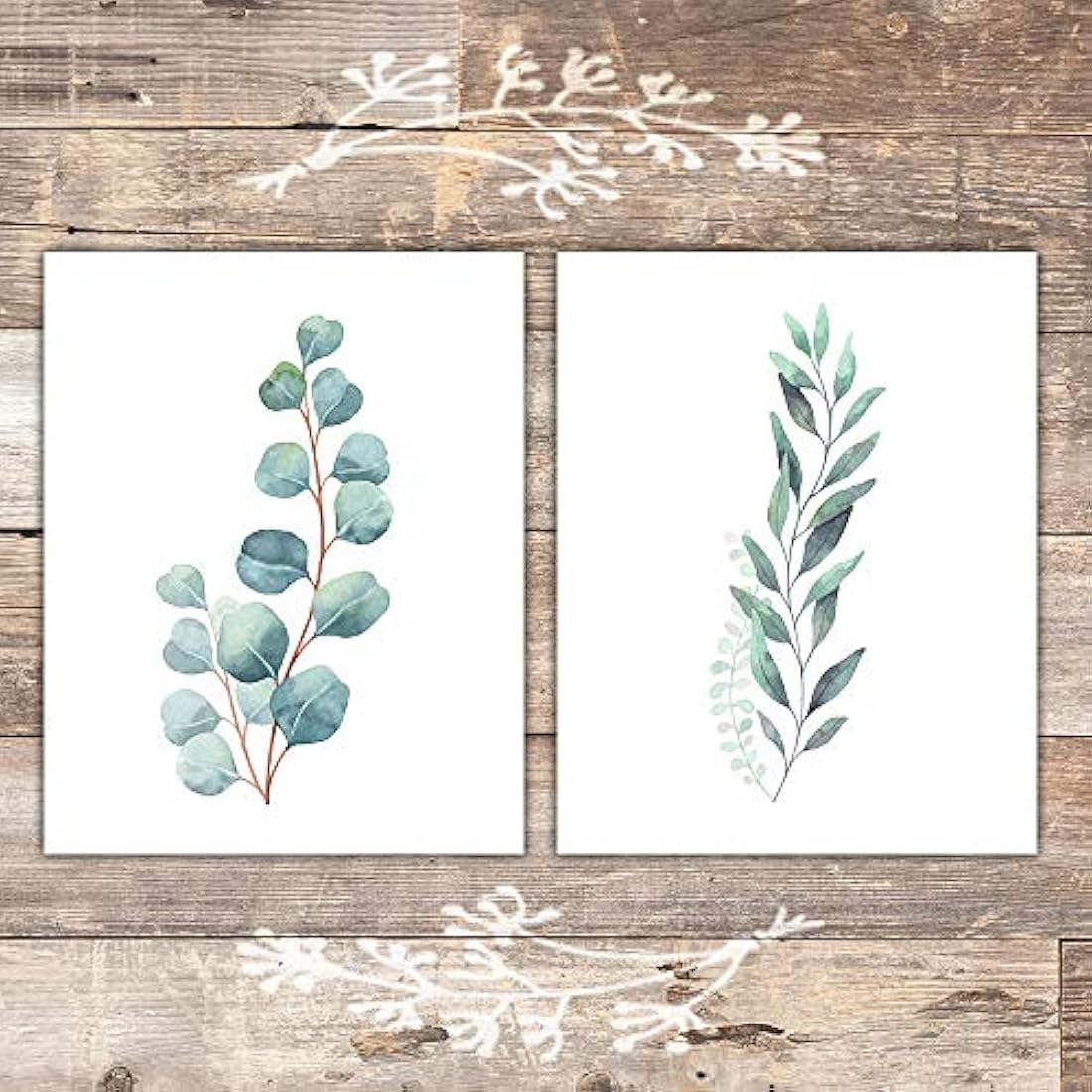 Impresiones botánicas - Hojas de eucalipto - (Juego de 6)