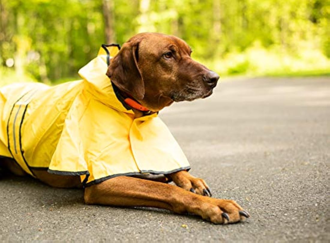 Impermeable de moda para mascotas perros pequeños poliester
