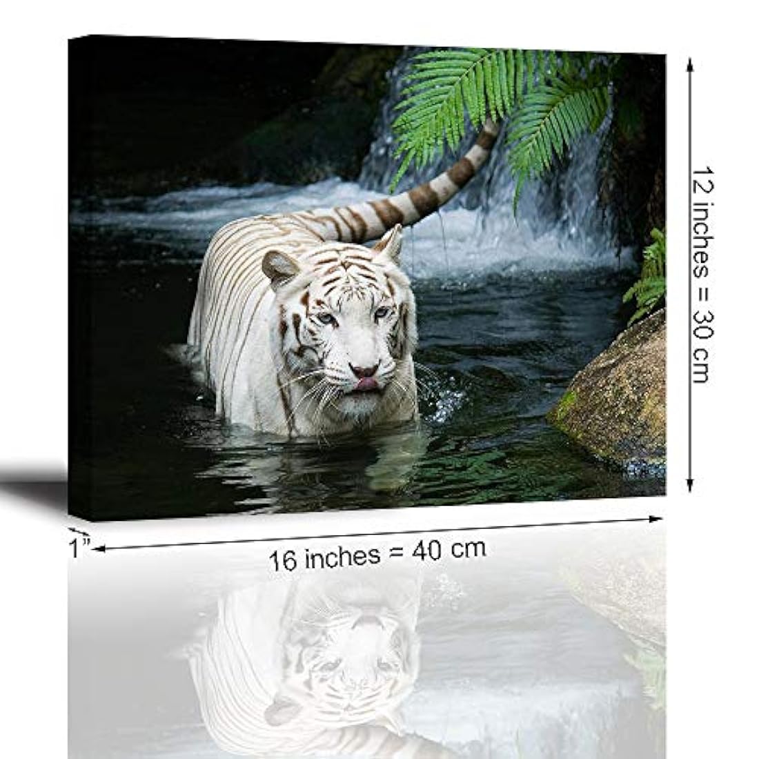 White Tiger Picture Decor para el dormitorio