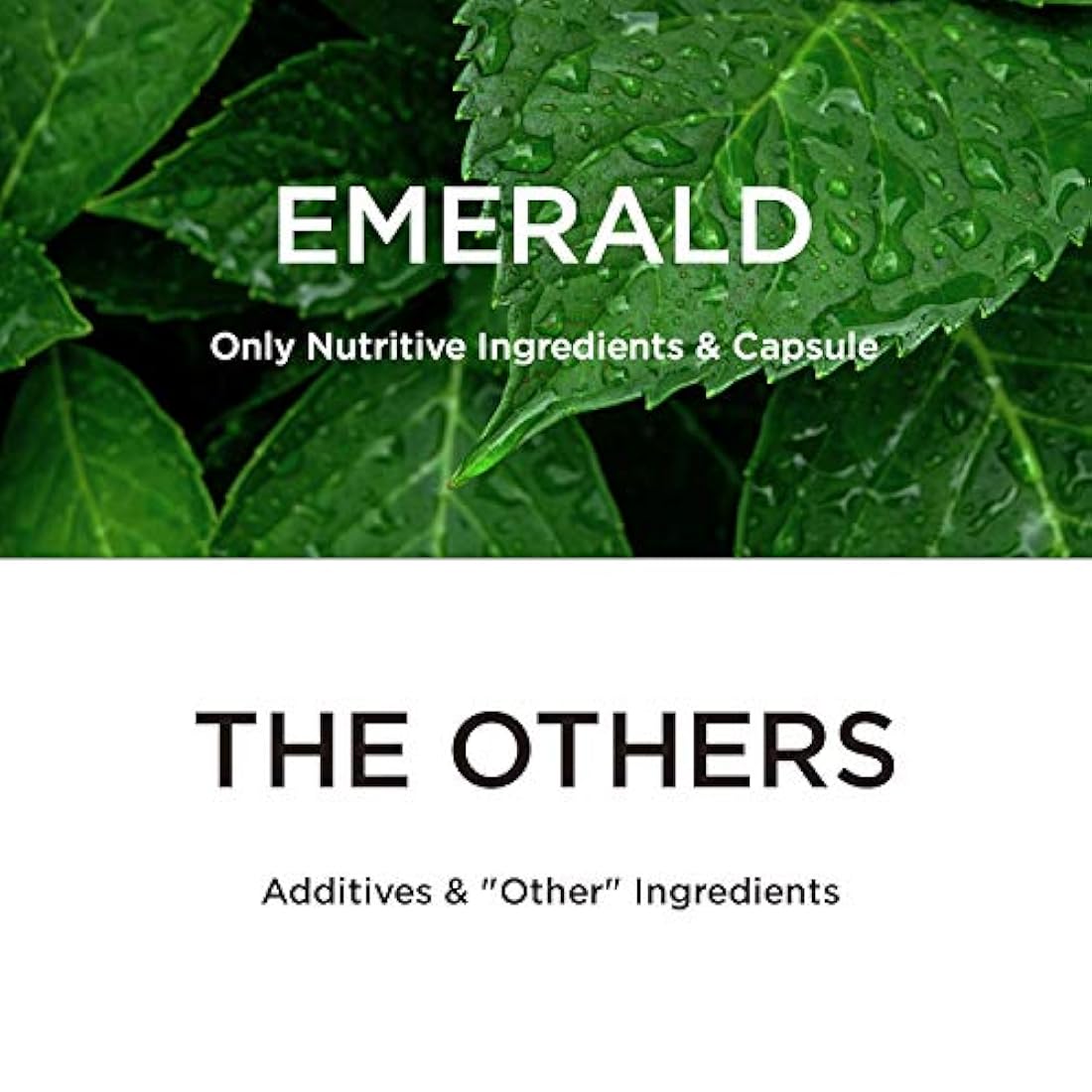Emerald Labs - Multivitamínico para mujer, 45 + con vitaminas CoQ10, B, L-glutatión para apoyar el corazón saludable, huesos fuertes, hormonas equilibradas, 120 cápsulas vegetales
