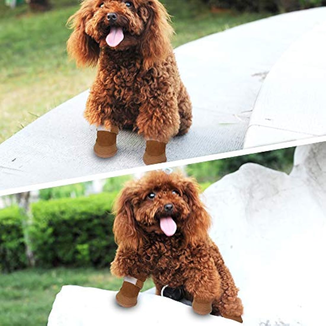 Botas antideslizantes para perro