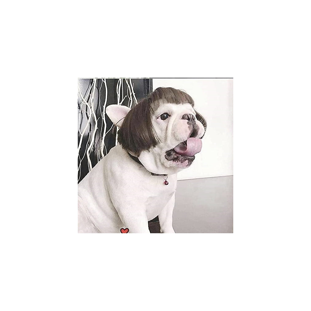 Disfraces de peluca de perro talla L