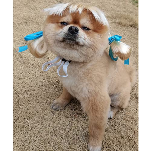 Divertido disfraz de perro, disfraz de mascota