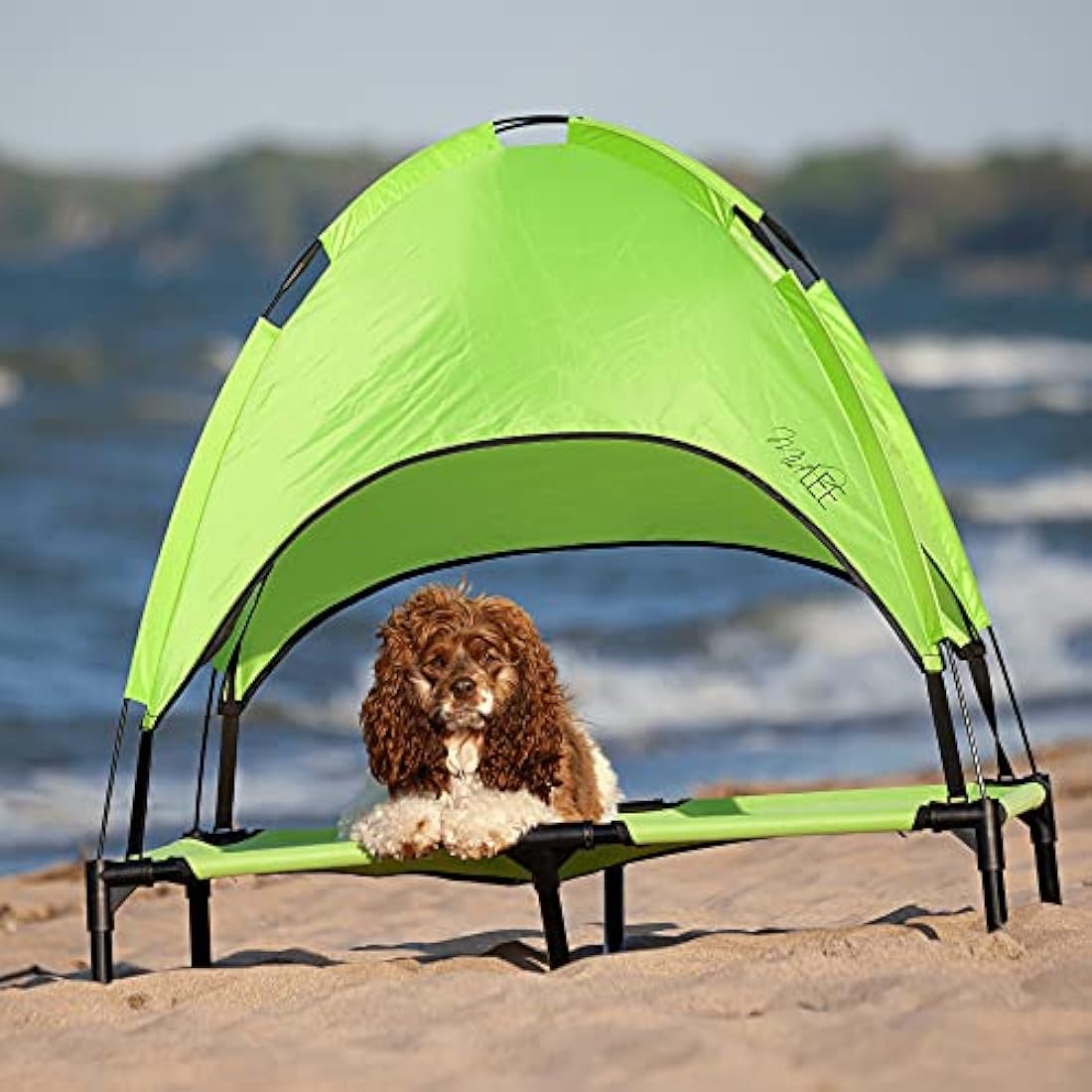 Cuna elevada para perro toldo de sombra, verde 90x90x76cms